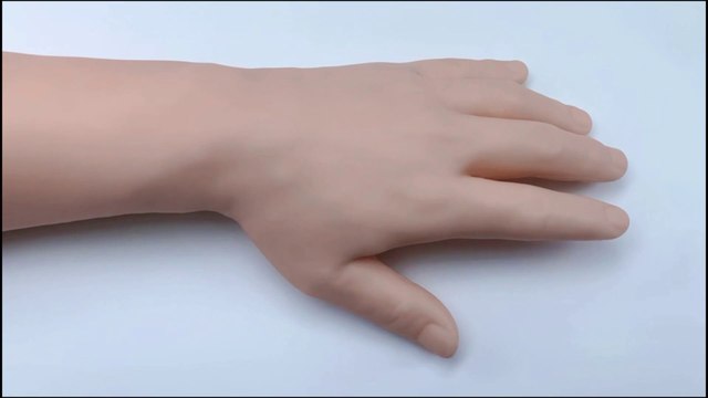 IV/Phlebotomy Arm & Practice Kit for Venipuncture Courses, Phlebotomy Classes, Injection Courses