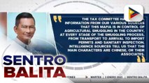 Chinese mafia, nasa likod ng umano'y smuggling ng sibuyas sa bansa ayon kay Rep. Salceda