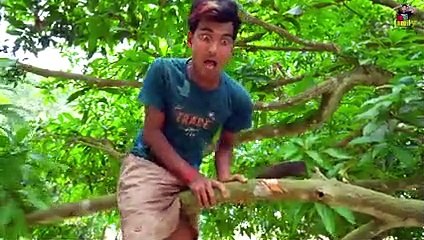 New_Entertainment_Top_Funny_Video_Best_Comedy_in_2022_Episode_139_By_MY_FAMILY(240p)