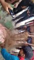 जांजगीर के  बसंतपुर बैराज में मिला 60 किलो का कछुआ, देखने उमड़ी भीड़