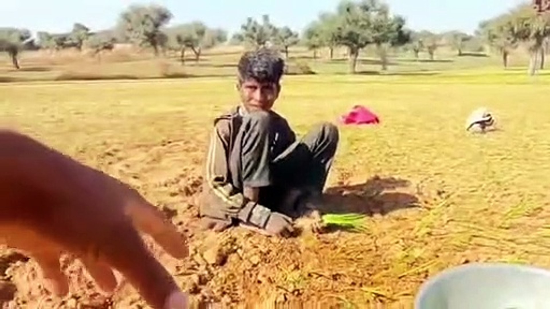 Rajasthani song || marwadi songs | desi songs | hindi song  |