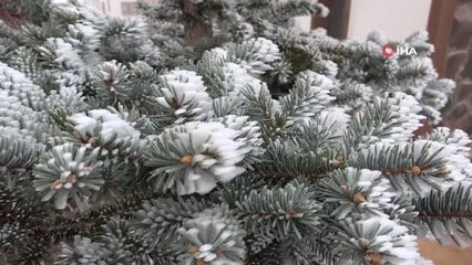 Elazığ'da kırağı ve don etkili oldu