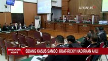 Ricky Rizal dan Kuat Maruf Hadirkan Ahli Meringankan dalam Persidangan Kasus Ferdy Sambo