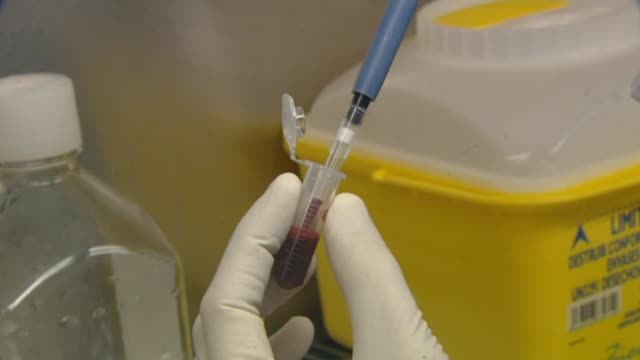 Un grupo de científicos descubre proteínas milenarias que podrían modificar el ADN