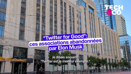 "Twitter for Good": ces associations abandonnées par Elon Musk