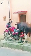 Omg what the f...u..k