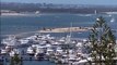 Sea World Australia: British couple among four killed in helicopter collision near Gold Coast theme park