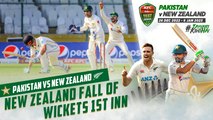 New Zealand Fall of Wickets 1st Innings | Pakistan vs New Zealand | 2nd Test Day 2 | PCB | MZ2L