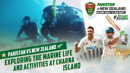 Exploring The Marine Life And Activities At Charna Island | PCB | MZ2L