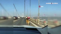 15 Temmuz Şehitler Köprüsü'nde sokak köpeğini görenler şaşkınlığını gizleyemedi