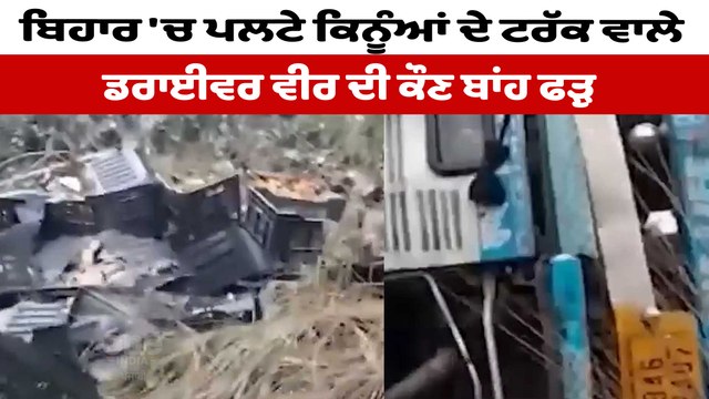 ਬਿਹਾਰ 'ਚ ਪਲਟਿਆ ਕਿਨੂੰਆਂ ਨਾਲ ਭਰਿਆ ਟਰੱਕ, ਲੋਕਾਂ ਨੇ ਲੁੱਟੇ ਕਿੰਨੂਆ ਦੇ ਭਰੇ ਕਰੇਟ | OneIndia Punjabi