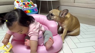 Dog And Baby Moments of 2023