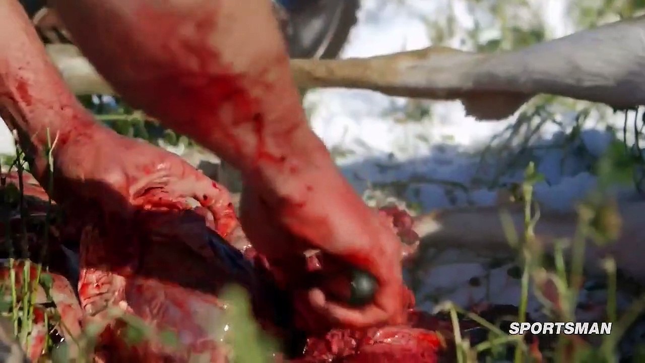 MeatEater - Se5 - Ep04 HD Watch