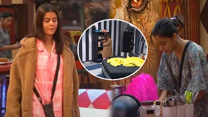 Bigg Boss 16 ; Priyanka ने Archana का प्लान खराब करके कैसे की Sumbul की मदद ? Shiv Sumbul |FilmiBeat