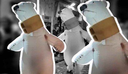 El oso de Cádiz reaparece