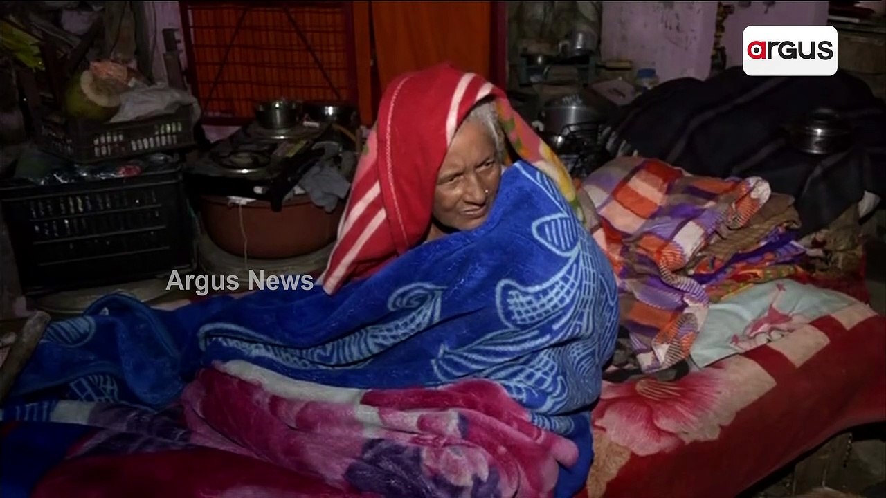 Dogs And Octogenarian Caretaker Thrown Out Of Their Home By MCD