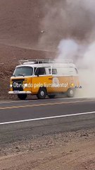 Kombi de paranaense que viaja com cachorra pega fogo; assista