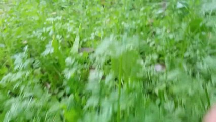 My First Vlog 2023 || my first vlog in channel || amitnewvlogs