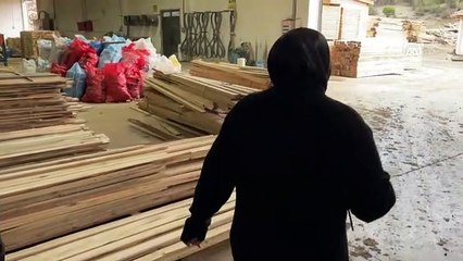 Kereste fabrikası kuran kadın girişimci 8 ülkeye ihracat yapıyor