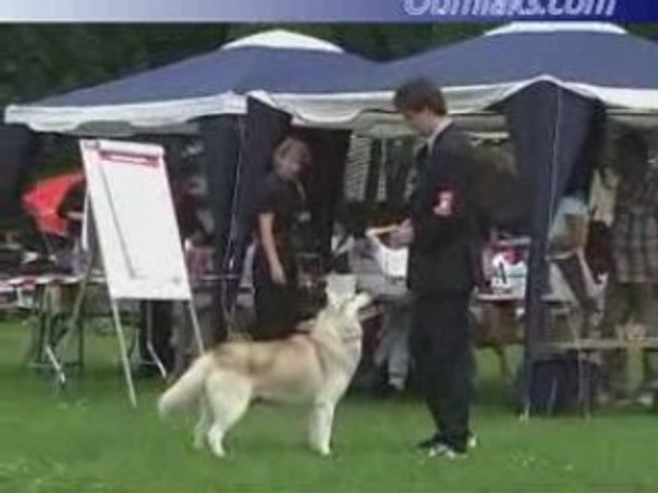 Black oak's the Perfect Storm --- German specialty 2007