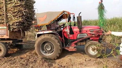 Arjun Mahindra 555 pulling loaded sugarcane tro