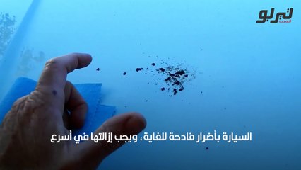 فيديو كيف تزيل فضلات الطيور