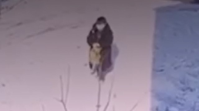 길고양이 바닥에 던지고 발길질...가해자 잡고 보니 10살 미만 초등학생 / YTN
