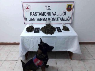 Turşu bidonu ve kavanozlara esrar zulalayan şahıs jandarmadan kaçamadı
