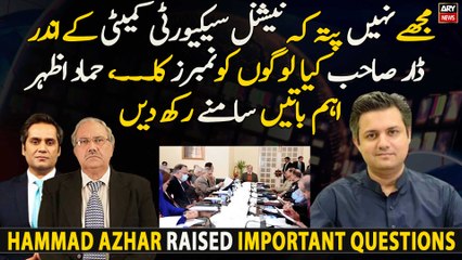 Mujhe nahi pata ke NSC meeting mai Dar sahab kia logo ko..., Hammad Azhar
