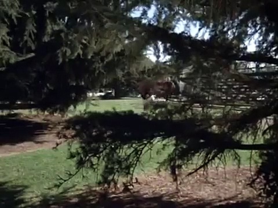 Starsky and Hutch - Se2 - Ep23 HD Watch