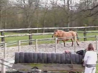 mira malcom meilleurs sauts