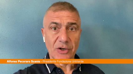 Pecoraro Scanio "Pronti a referendum contro autonomia differenziata"