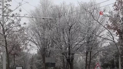 Malatya'da kırağı kartpostallık görüntüler oluşturdu