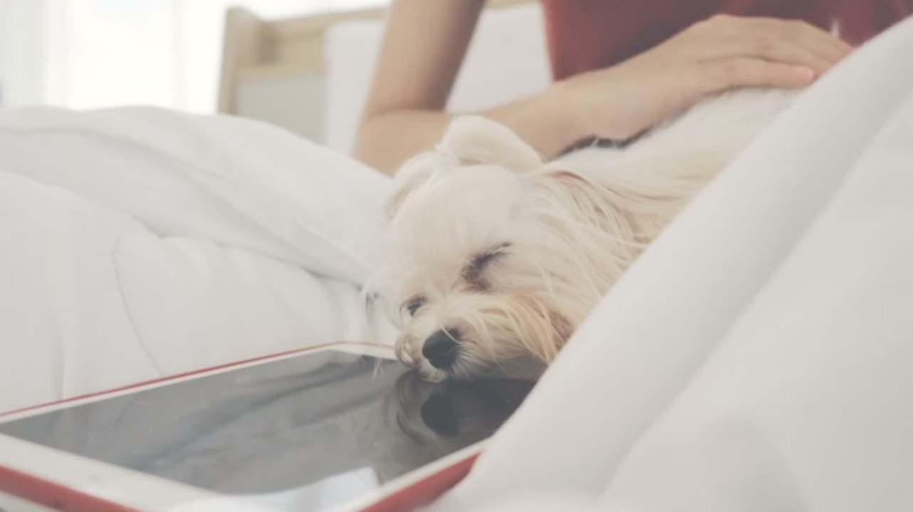 Welche Alltagsdinge soll man wechseln?