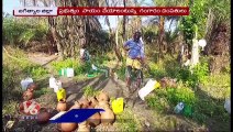 Old Man Farming Toddy Plants In House Premises | Jagital | V6 News