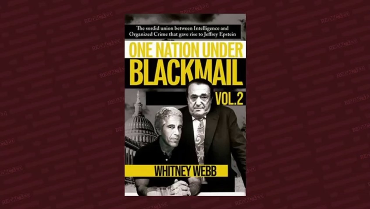 Deep State - Whitney Webb about the criminal National Security State | Redacted Conversation