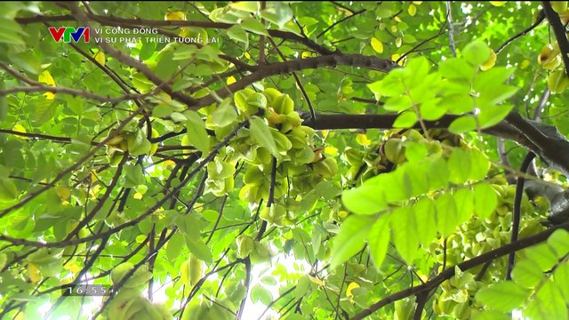 GTCT Hôm nay (phiên bản 2023) - vlc-record-2022-12-31-16h55m04s-VTV1 (HD 8Mbps)-