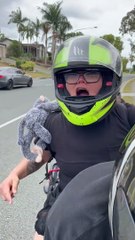 Car Thieves Meet Karma