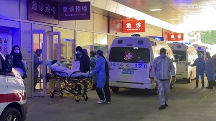 "In China ist Wissenschaft politisch" EU beklagt fehlende Information zu Covid-Varianten