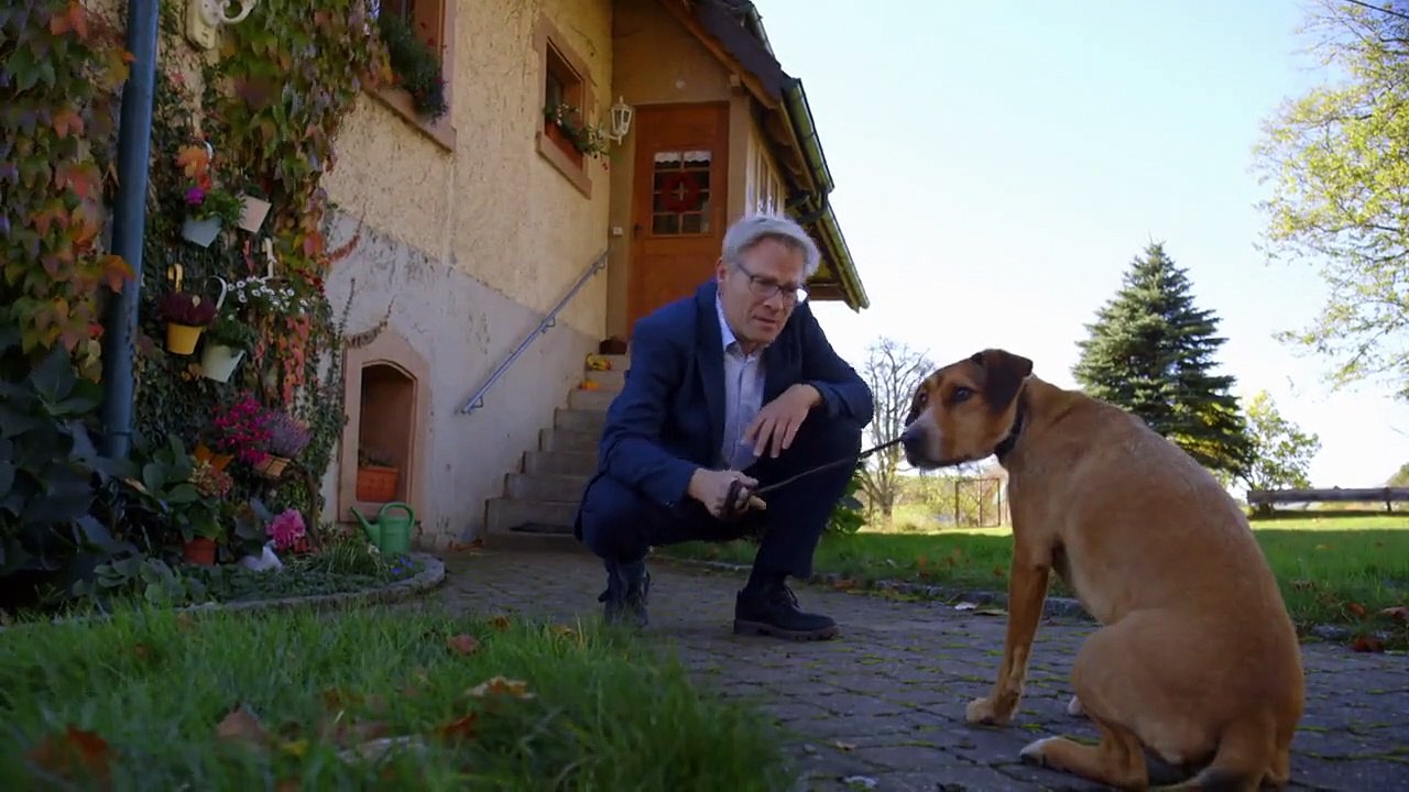 Tiere bis unters Dach Staffel 7 Folge 3