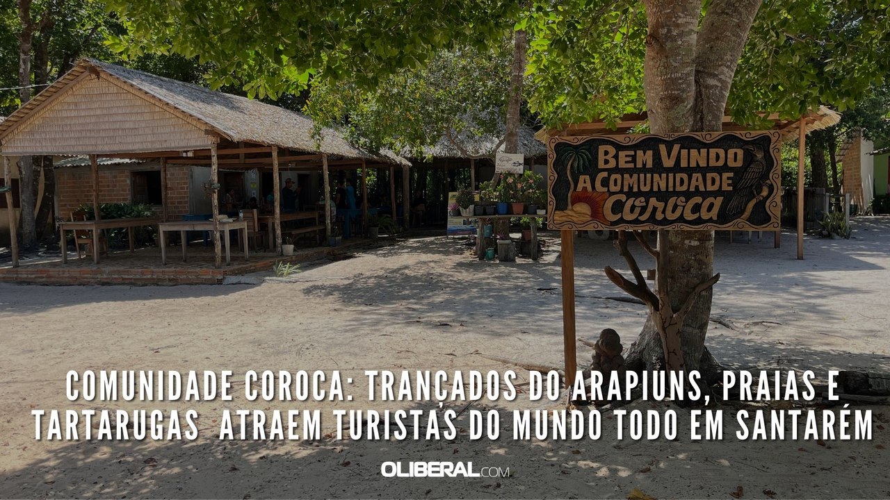Comunidade Coroca: trançados do Arapiuns, praias e tartarugas atraem ...