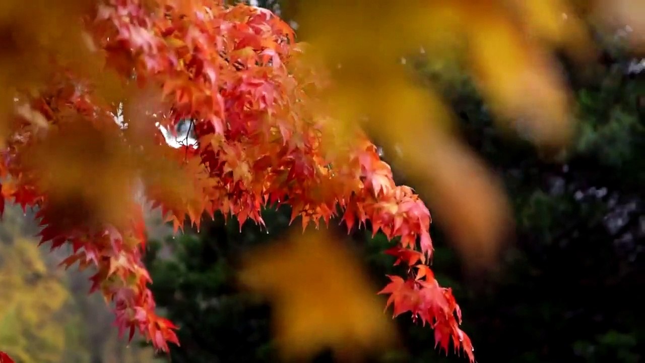 Mission Declassified - Se1 - Ep03 - The Lindbergh Kidnapping HD Watch