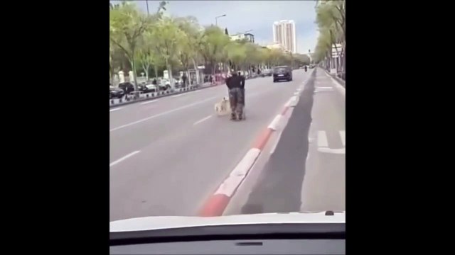 Il fait du chien de traineau dans les rues de... Marseille !