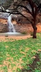 أمطار "تيماء" تحولت إلى شلالات بـ"عريدة".. مظاهر خلابة توثقها "سبق"