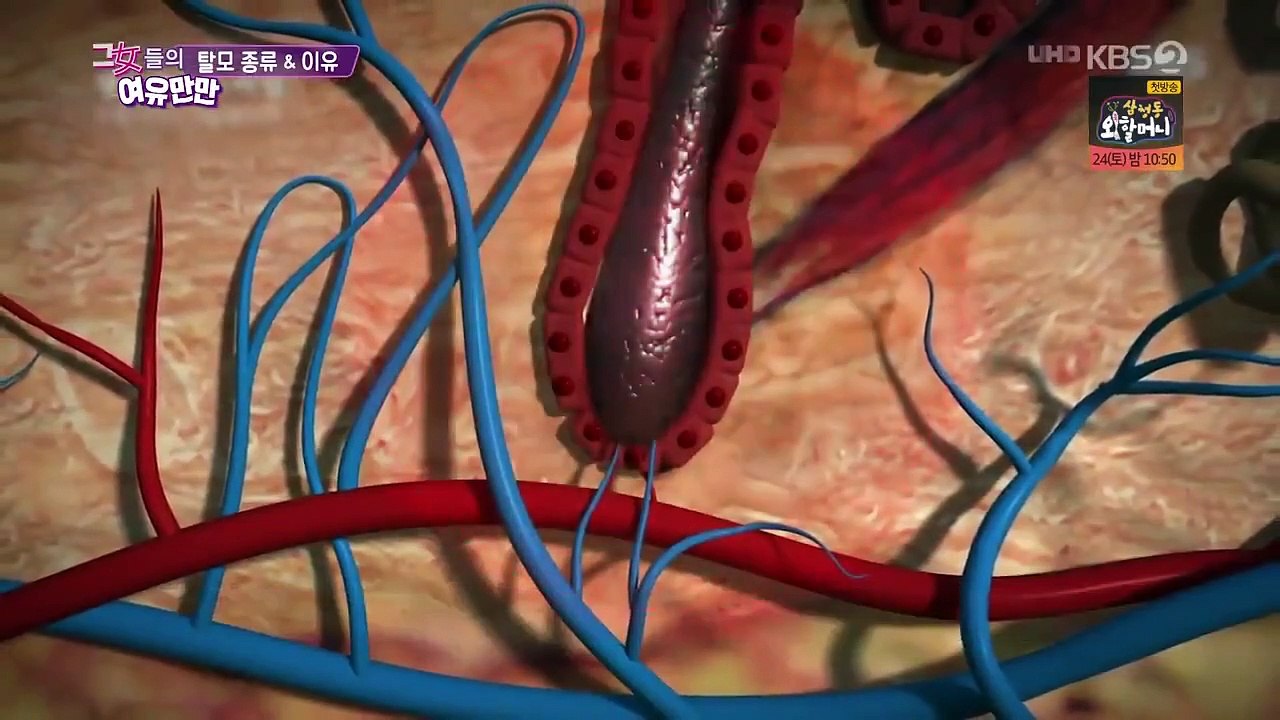 Women's Composure - Ep85 HD Watch