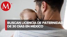 PAN propone otorgar licencia de paternidad de 30 días laborales con goce de sueldo