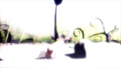 Larva - Volume 4 - Ep10 - Scary Night HD Watch