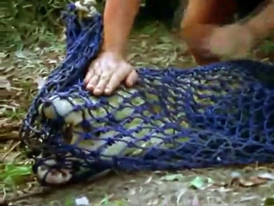 Crocodile Hunter - Ep01 HD Watch