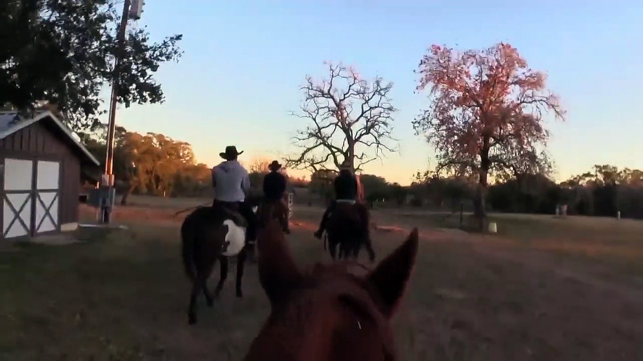 Destination Fear (2019) - Se2 - Ep02 - Yorktown Memorial Hospital HD Watch