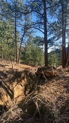 Guy on Bike Hits Tree